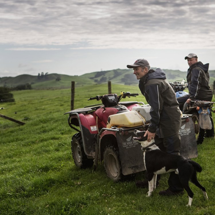two men in field with dog and quad wearing kaiwaka farm wear