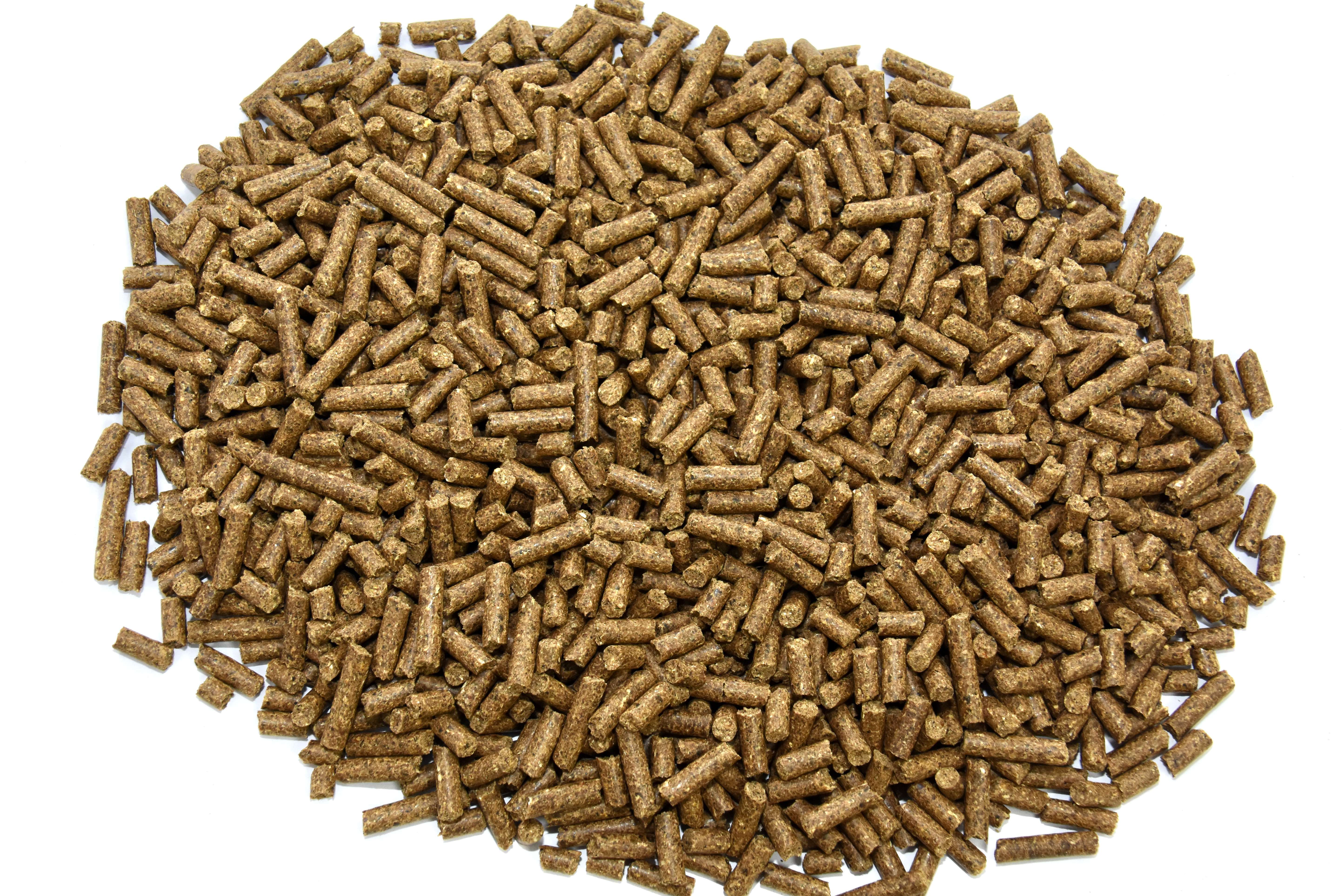 6mm ewe nuts from galloway and macleod